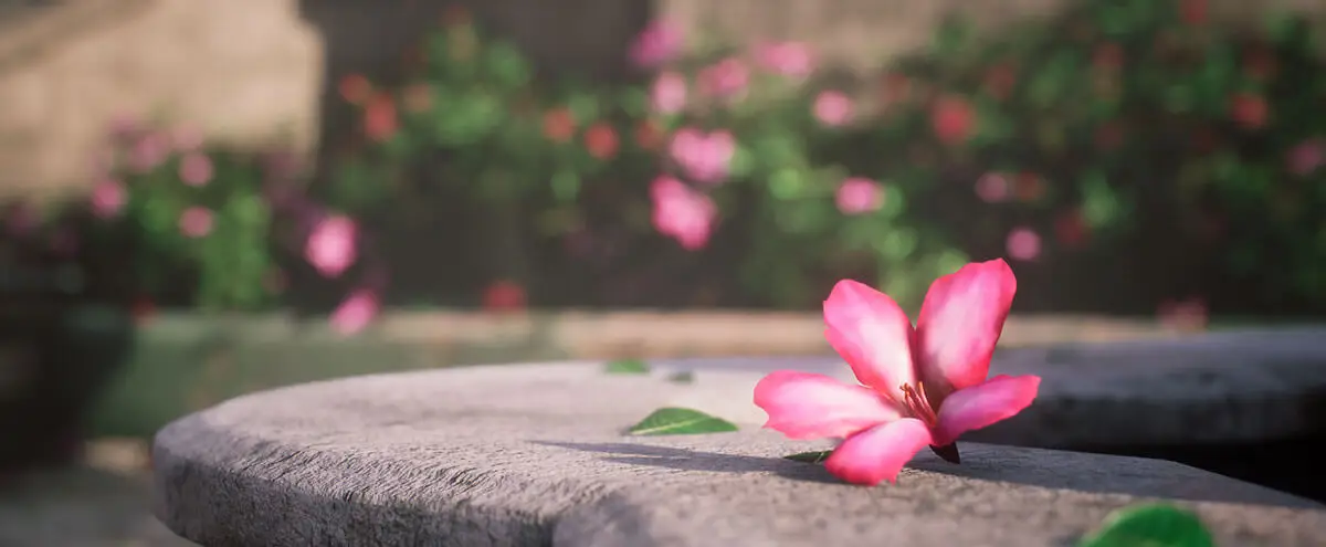 Flower petal on stone