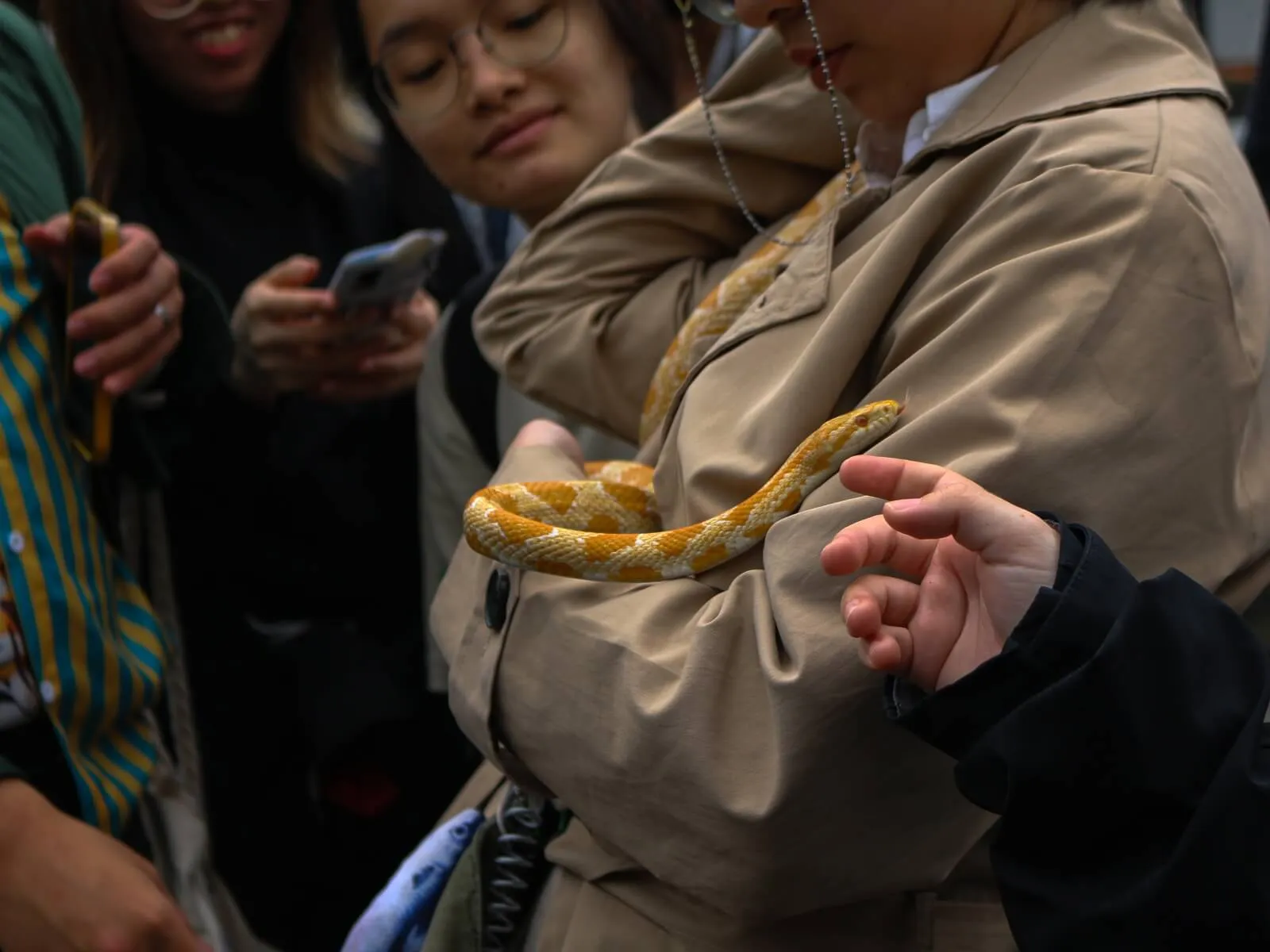 BFA students admire colors of a snake resting on the chest of a student